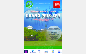 CHAMPIONNAT INDIVIDUEL GRAND PRIX SFR AU BASSIN BLEU