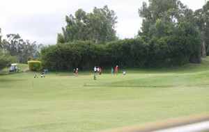 5577c8fcc8acb_IMG1300.jpg