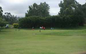 5577c8ff8734a_IMG1298.jpg