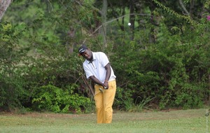 5655b838ba179_MOUNIAMA2682.jpg