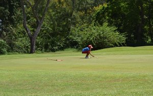 56dd168d4d95e_DSC0223.jpg