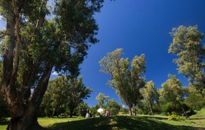 58bcf643bf5ee_GOLFLRG5606.jpg